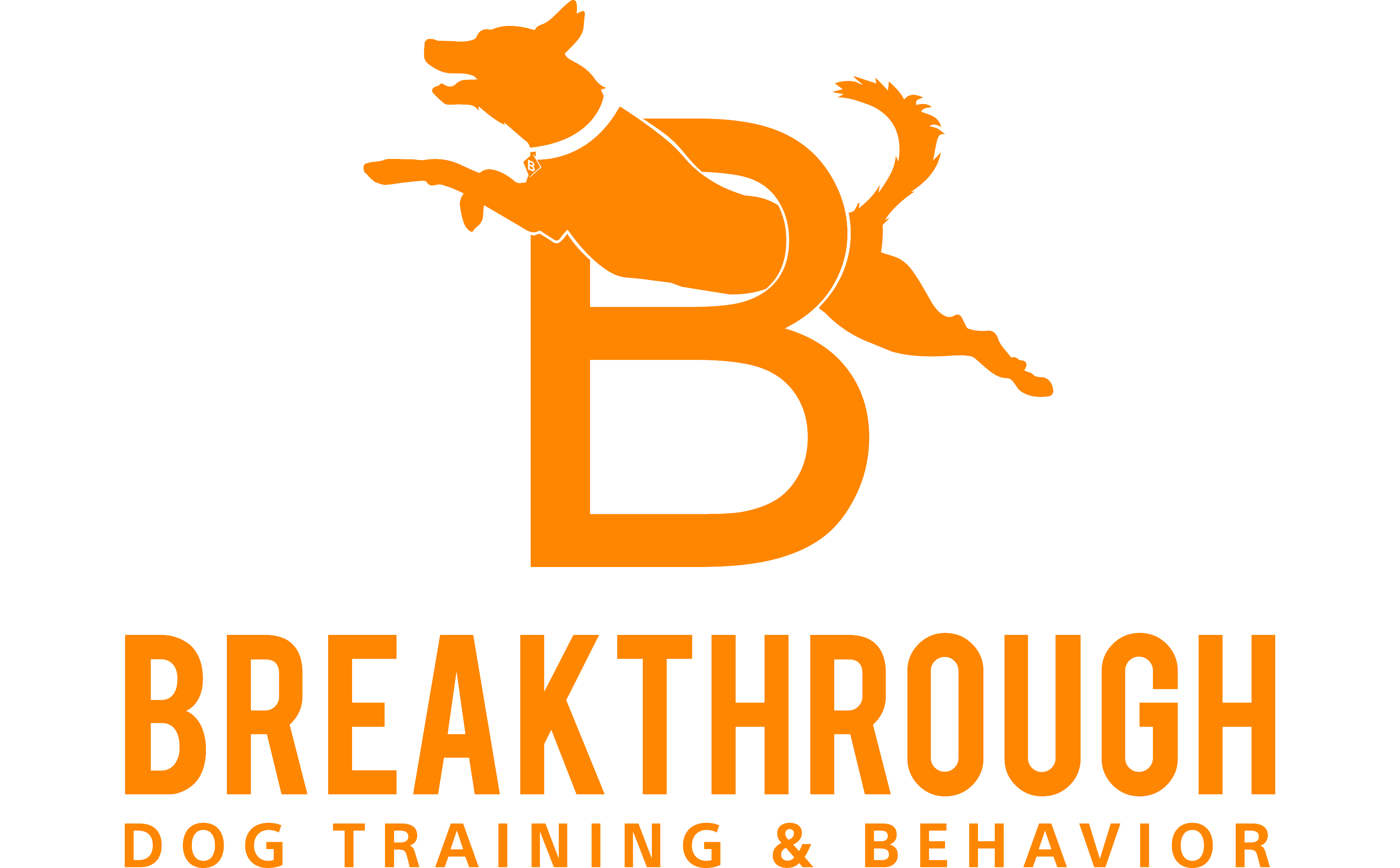 Breakthrough Dog Training Logo